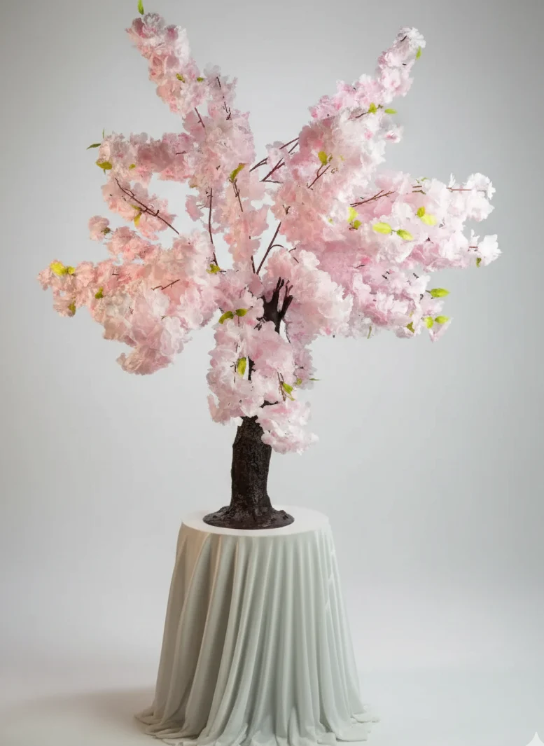 Cherry Blossom
